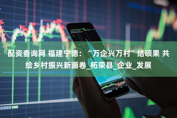 配资查询网 福建宁德：“万企兴万村”结硕果 共绘乡村振兴新画卷_柘荣县_企业_发展