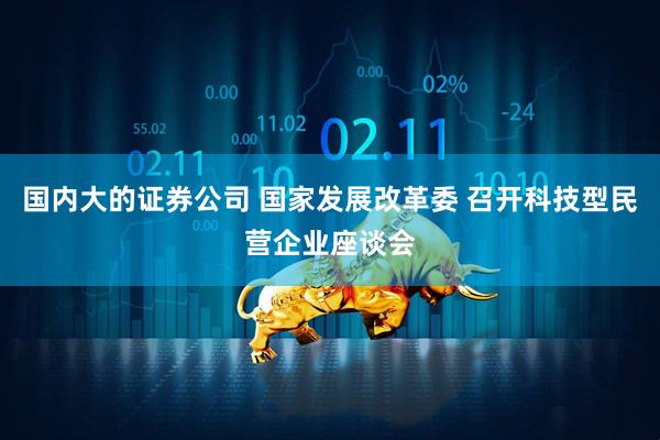 国内大的证券公司 国家发展改革委 召开科技型民营企业座谈会
